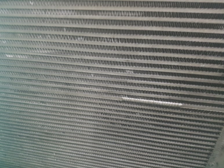 797064289f18107675eaf8df868904a2_1741666519_8865.jpg